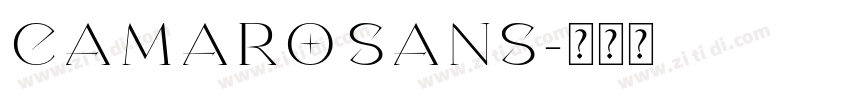 Camaro Sans字体转换